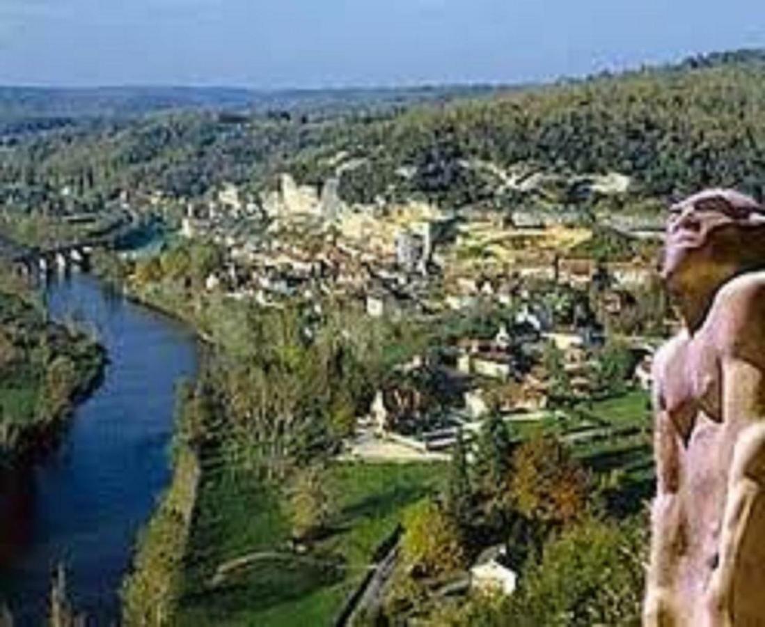 Les Pruniers De La Cipiere Villa Peyzac-le-Moustier Eksteriør bilde